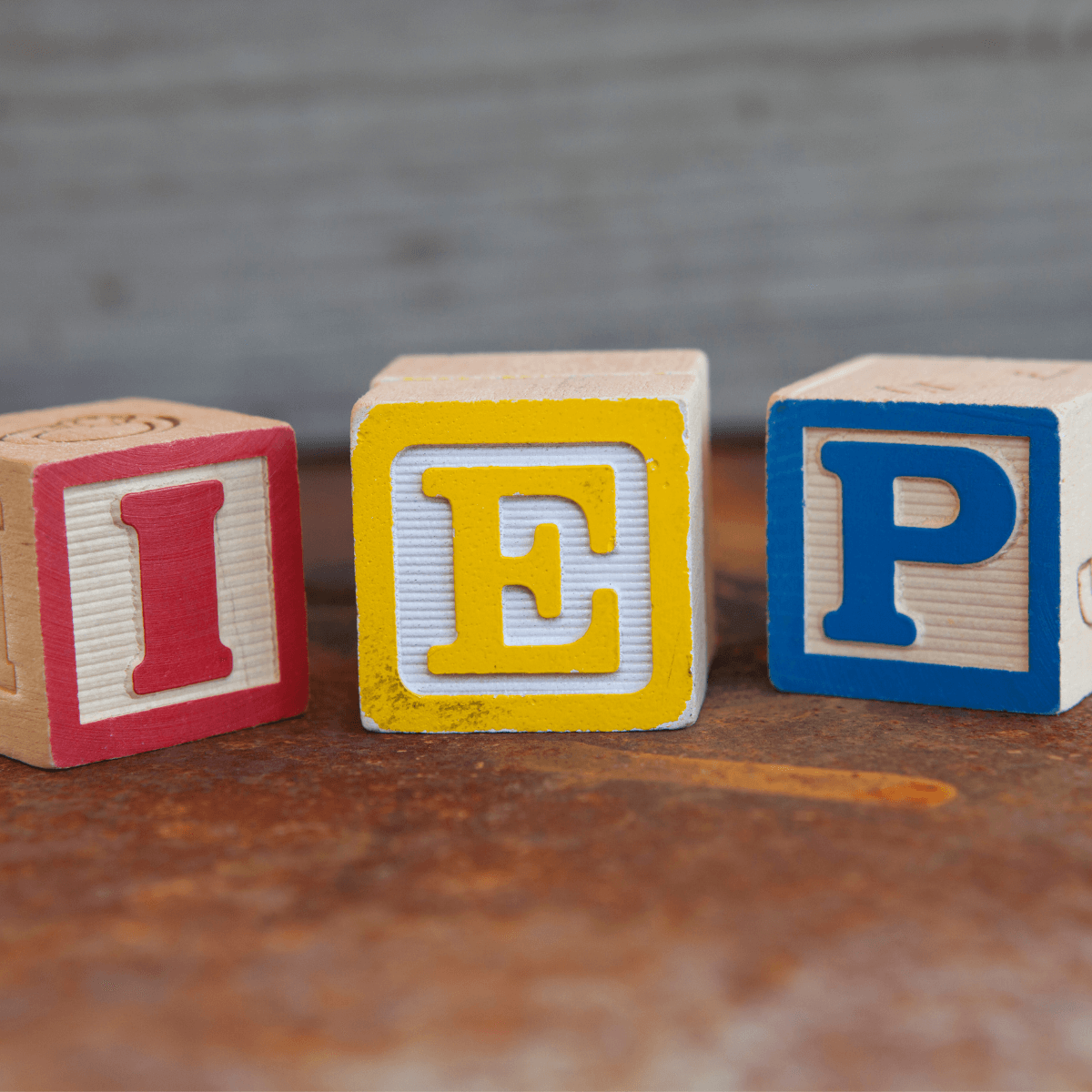IEP (Individualized Education Program)